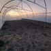 Un nou început în grădină: cum a descoperit o familie bucuria cultivării cu ajutorul unui solar de grădină de la solarii-izosun.ro